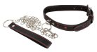 Bad Kitty Collar And Leash