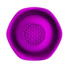 Pretty Love Bernie Purple