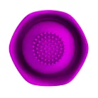 Pretty Love Bernie Purple