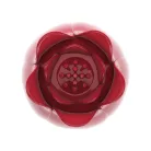 Pretty Love Secret Garden RED