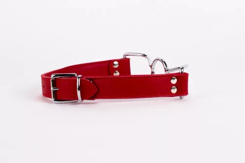 Calf Softy Leather Top and Lamb Leather Padding with Stainless Steel Mouth Piece Red