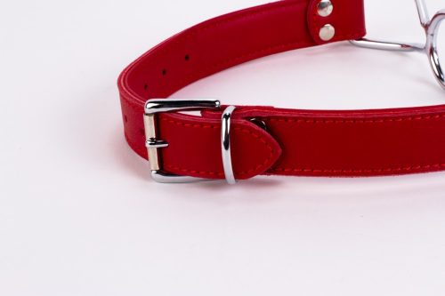 Calf Softy Leather Top and Lamb Leather Padding with Stainless Steel Mouth Piece Red