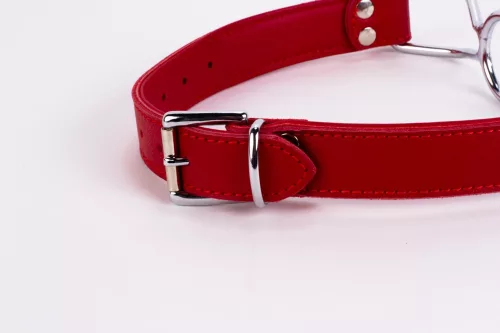 Calf Softy Leather Top and Lamb Leather Padding with Stainless Steel Mouth Piece Red