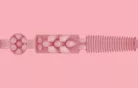 Pink Lady Destroya