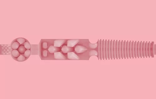 Pink Lady Destroya