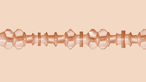 Fleshjack Boys Cade Maddox Alpha