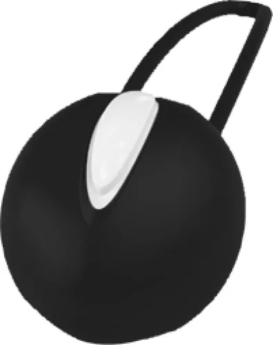 Smartball Uno - Black