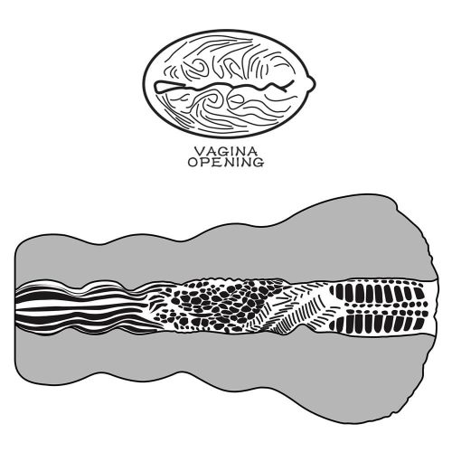 Alien's Pie Masturbator #3_B15O50_3