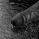 10" REAL SOFTEE Rechargeable Vibrating Dildo(Black)_B15O50_4