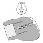 Streetgirl's Sensation Pulse (Brown) III_B15O50_4