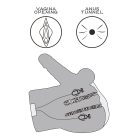 Streetgirl's Dual Motor Sensation Pulse With Dildo