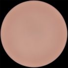 9'' Sliding Skin Pro II Dual Layer Silicone Dong