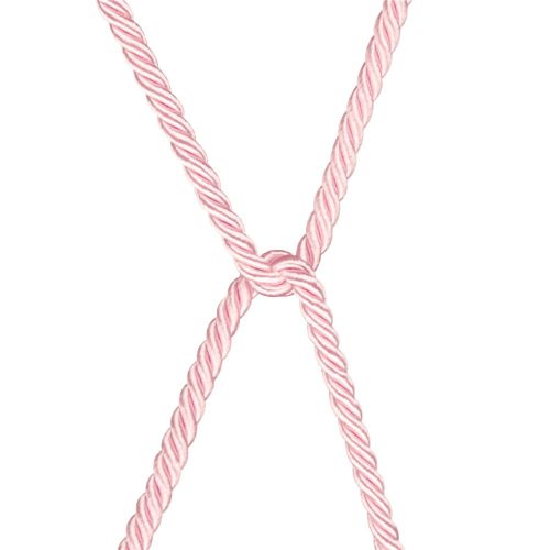 Rebellion Reign Rose Silky Bondage Rope