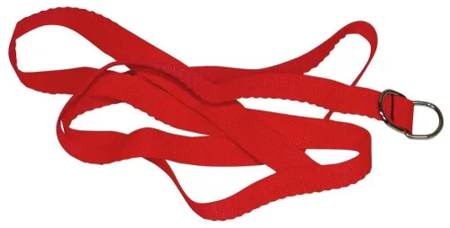 Bad Kitty Red Gigant