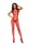 BS124 red