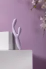 Cici+ 2
