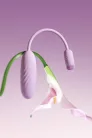 Plume Pastel Lilac